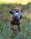 20261010-JHL-0048