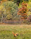 20261010-JHL-0072