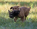 20261010-JHL-0100