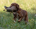 20261010-JHL-0315