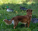 20261010-JHL-0398