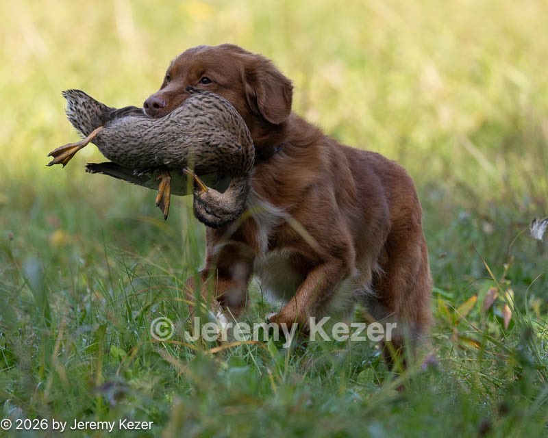 20261010-JHL-0315.jpg