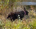 20261010-JHW-0139