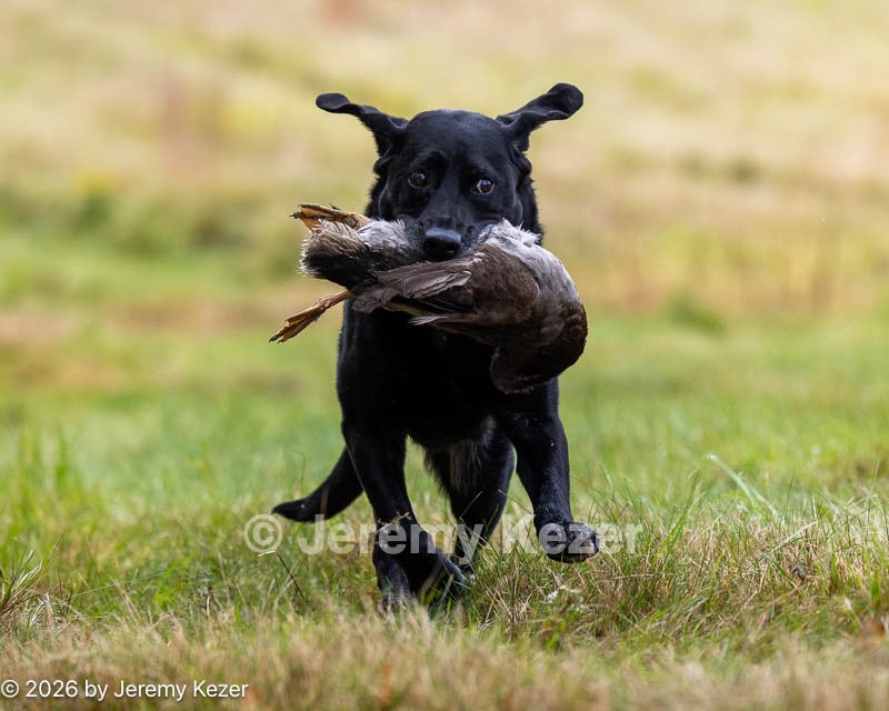 20261011-VetL-0009.jpg