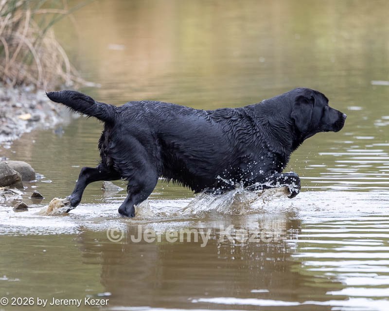 20261011-WCIW-0020.jpg
