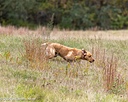 20261011-WCXL-0064