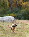 20261011-WCXL-0067