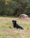 20261011-WCXL-0079