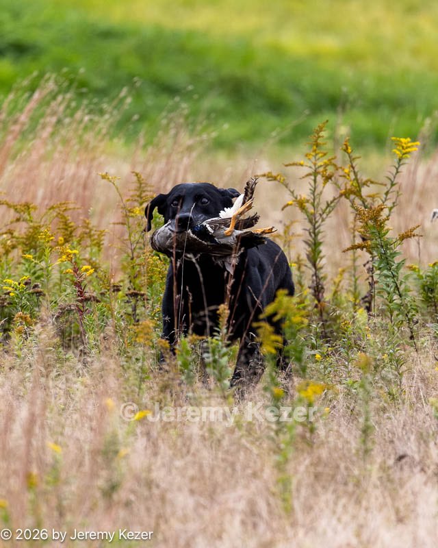 20261011-WCXL-0096.jpg
