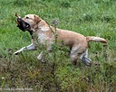 20261011-WCXW-0065